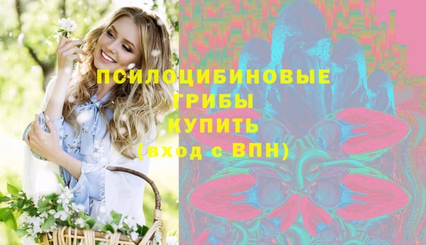 винт Армянск