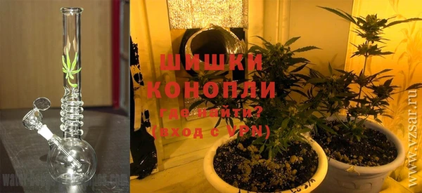 стаф Балахна