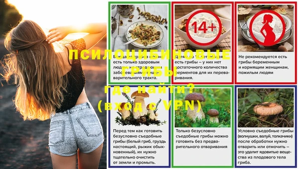 стаф Балахна