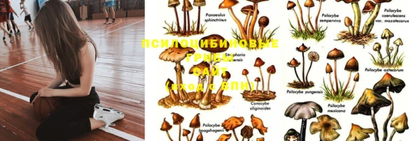 дмт Баксан