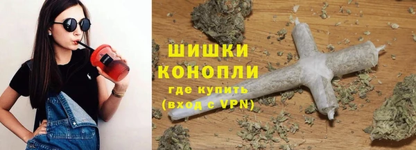 стаф Балахна
