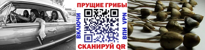 Псилоцибиновые грибы мухоморы  Прохладный 